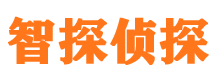 界首市私家侦探